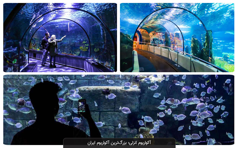 تونل آکواریم بزرگ