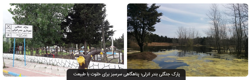 پارک جنگلی بندر انزلی